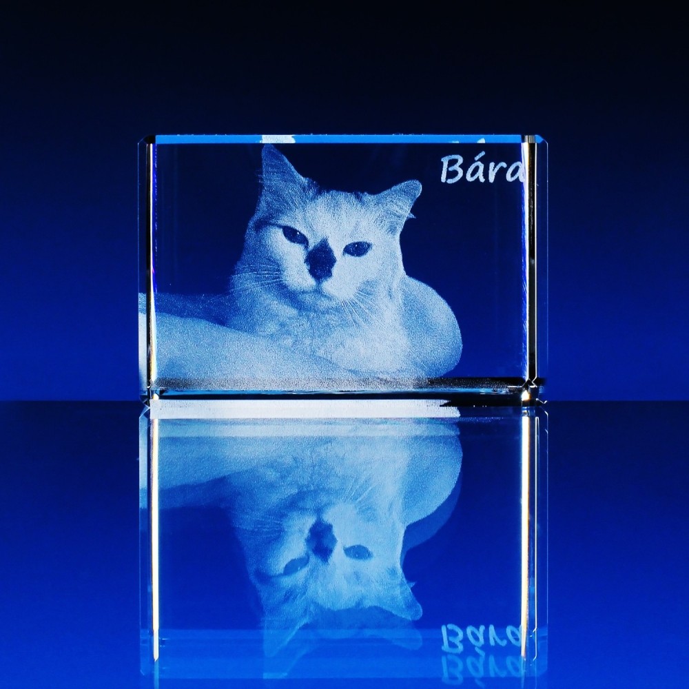 3D Laserovaná fotografie - PORTRÉT zvířecího miláčka 80x50x50 mm (P306D)